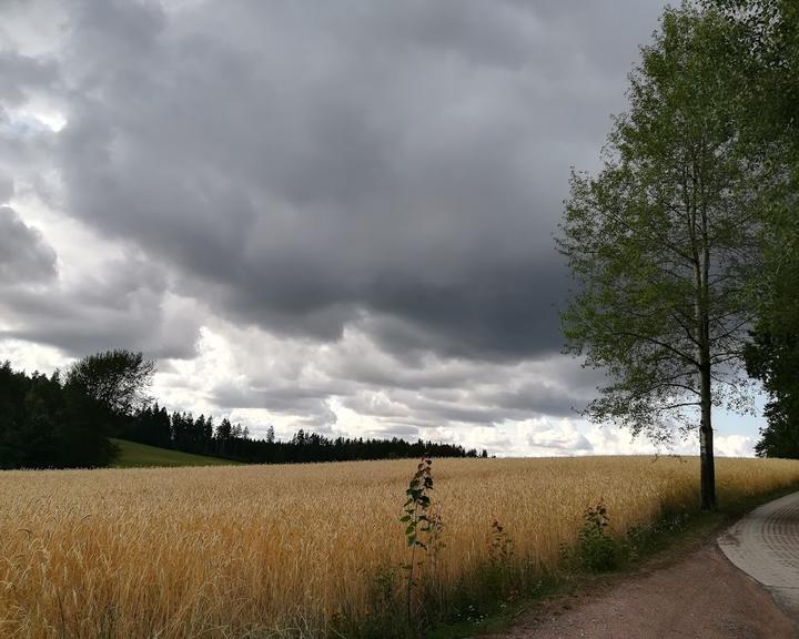 Giegengrüner Waldpension